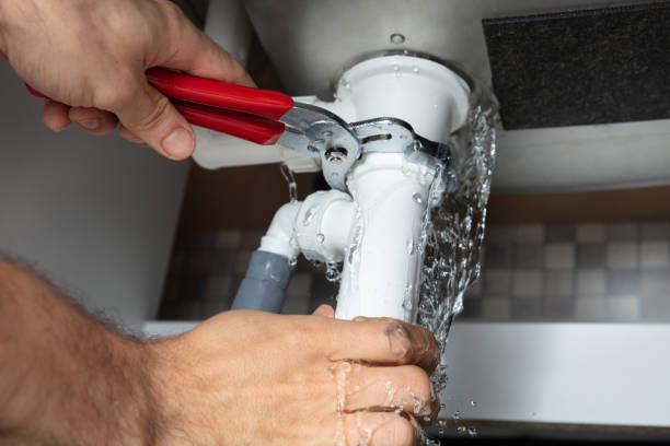 Best Sewage cleanup and water damage restoration  in Albion, IL
