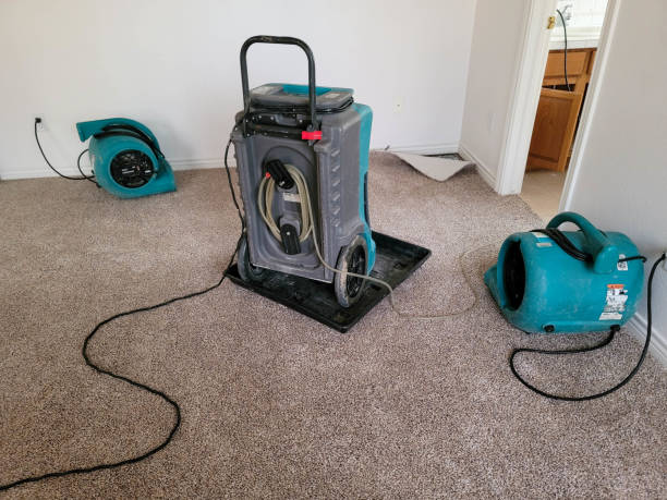 Best Water damage restoration near me  in Albion, IL