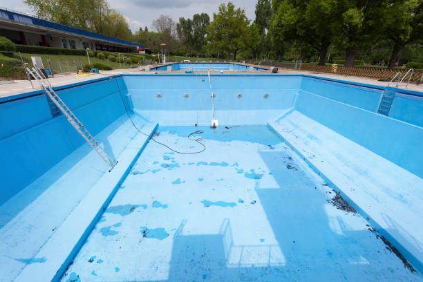 Best Water damage restoration near me  in Albion, IL