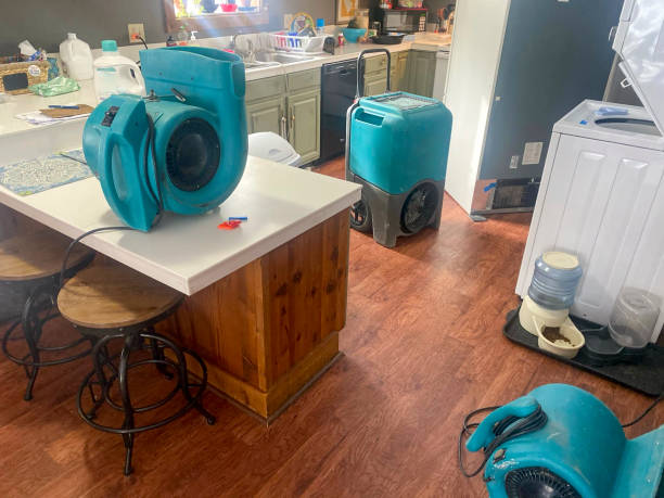 Best Flood damage cleanup  in Albion, IL