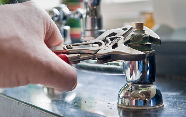 Best Mold removal after water damage  in Albion, IL