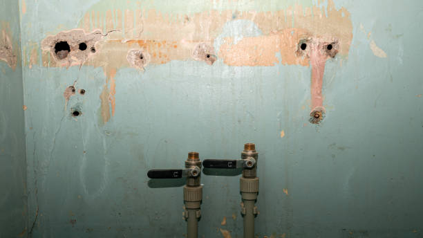 Best 24-hour water damage restoration  in Albion, IL