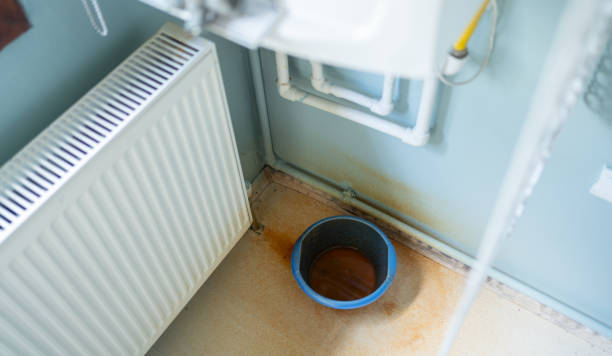 Best Residential water damage restoration  in Albion, IL
