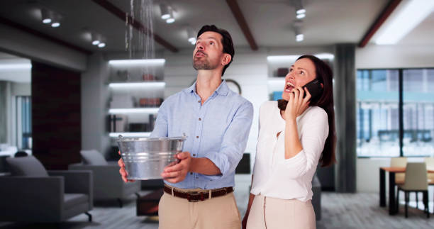 Best Flood restoration services  in Albion, IL