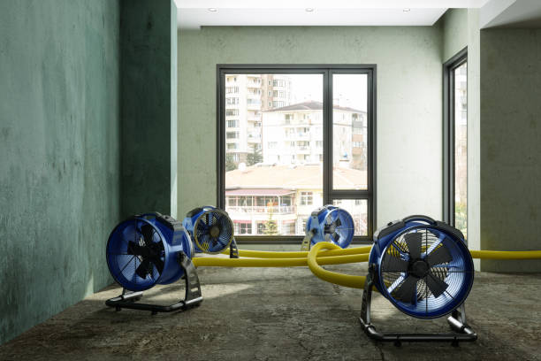 Best Fire Damage Restoration  in Albion, IL