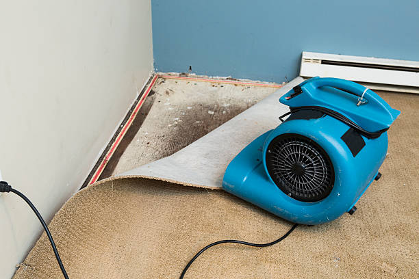 24/7 water damage repair in IL