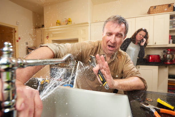 Best Water damage restoration services  in Albion, IL